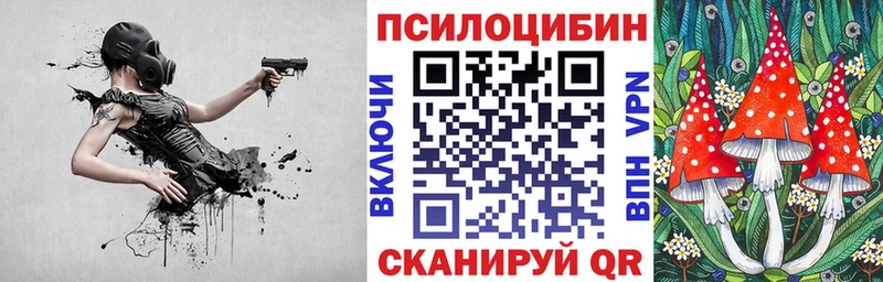 хочу   Полесск  Галлюциногенные грибы Cubensis 